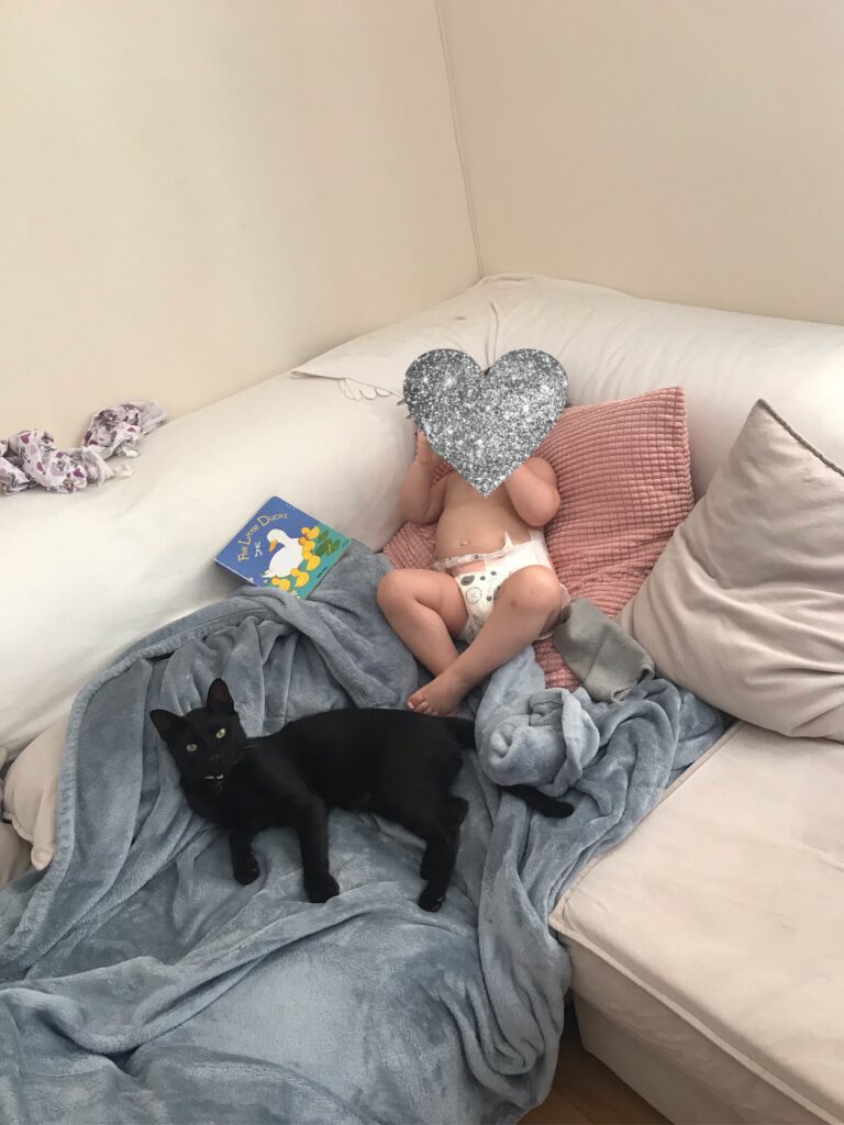 Life as a pregnant mum with a toddler and family cats