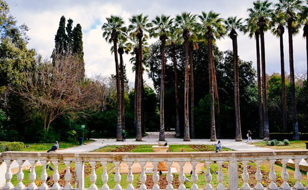 Botanical Gardens - Athens
