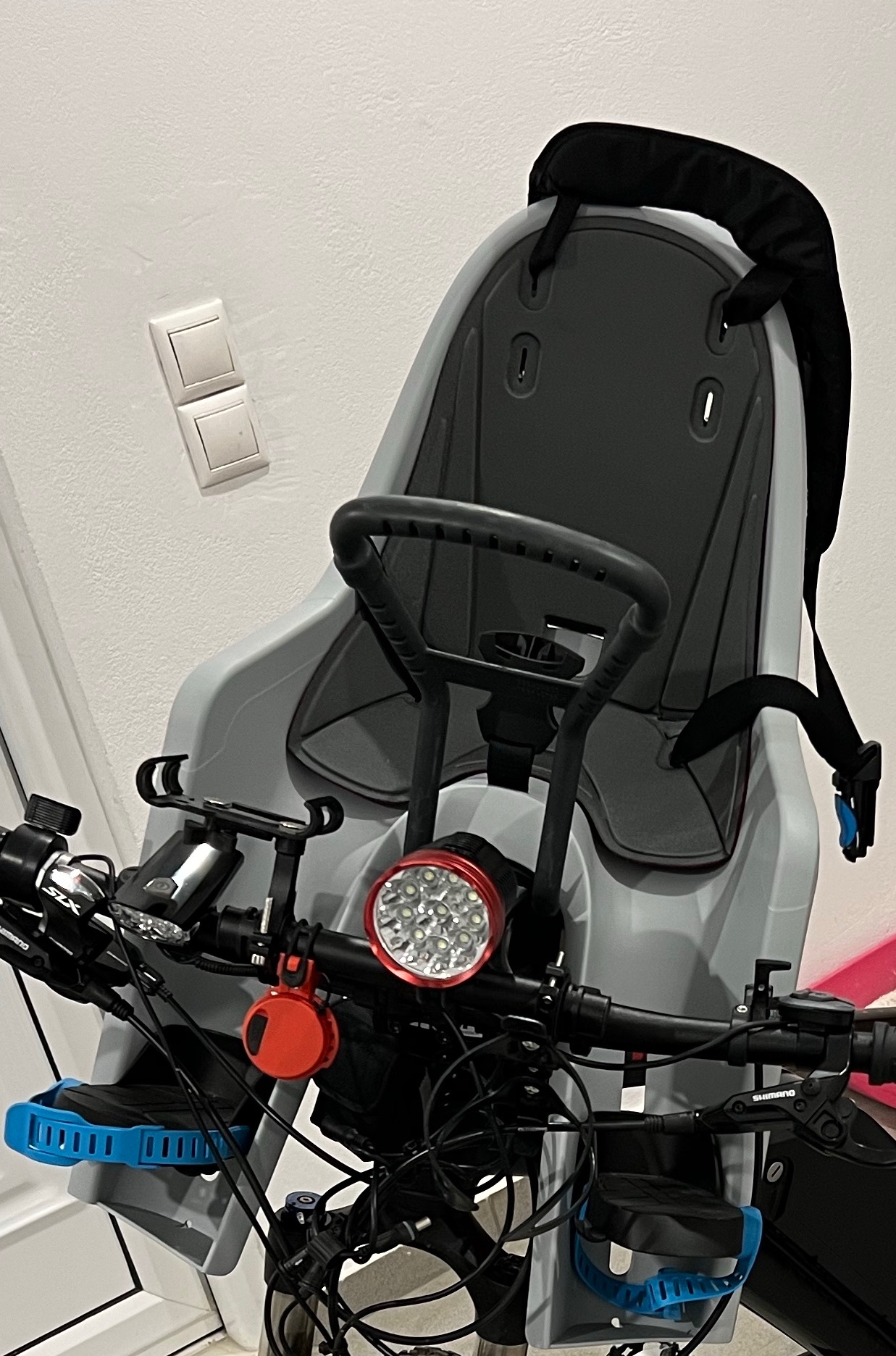 Infant Bike Seat