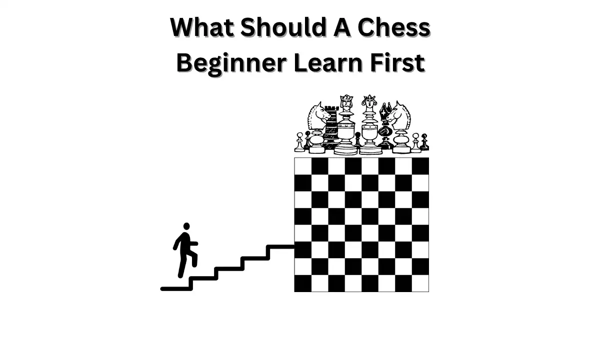 What Should A Chess Beginner Learn First Unbiased Living What Should A Chess Beginner Learn First Unbiased Living