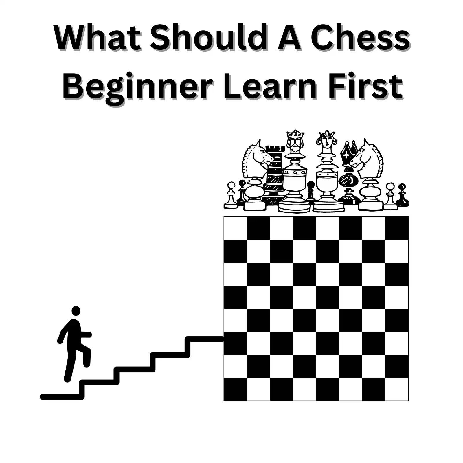 What Should A Chess Beginner Learn First