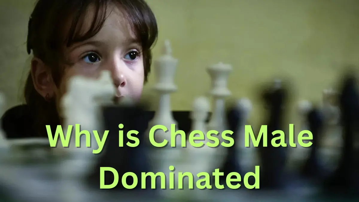 Why is Chess Male Dominated Unbiased Living