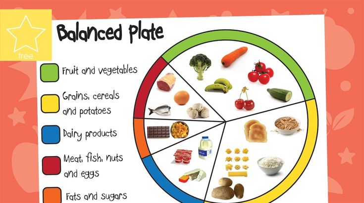 balanced diet plate - Balanced Plate Photo Mat