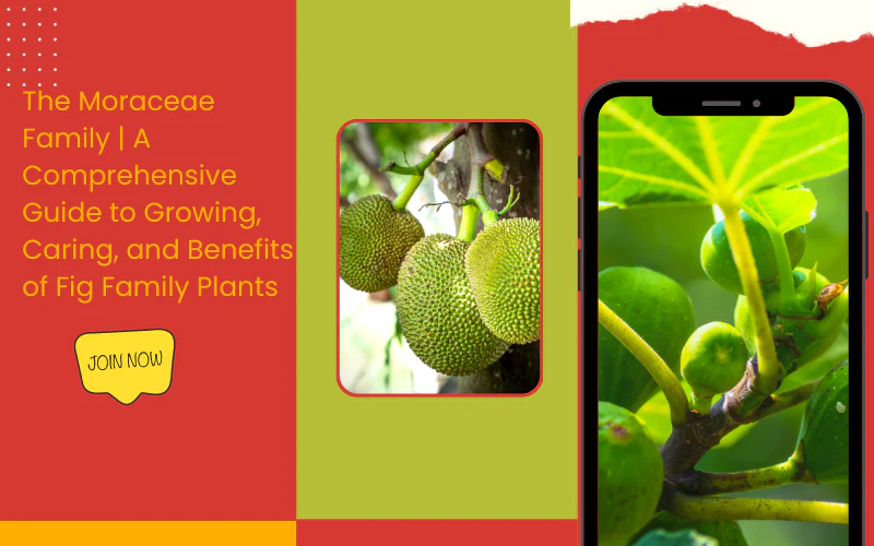 Keywords:
TypeScript and Webpack logos - How to Setup a React App with TypeScript + Webpack from Scratch ...