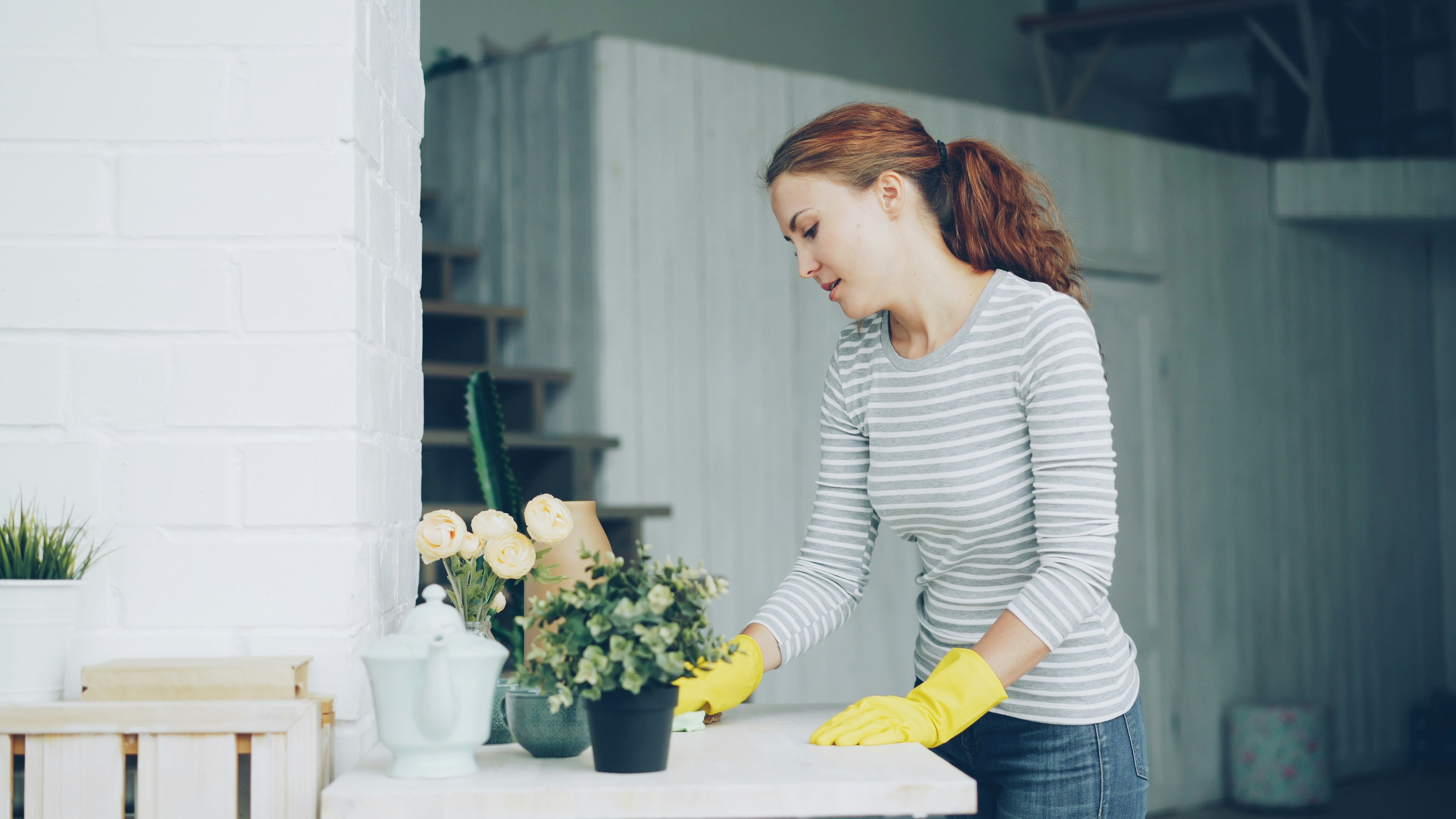 Keywords:
Woman cleaning kitchen with natural spray - Cheerful young maid is dusting the furniture holding wet cloth in modern light apartment. Housework, people and interiors concept.