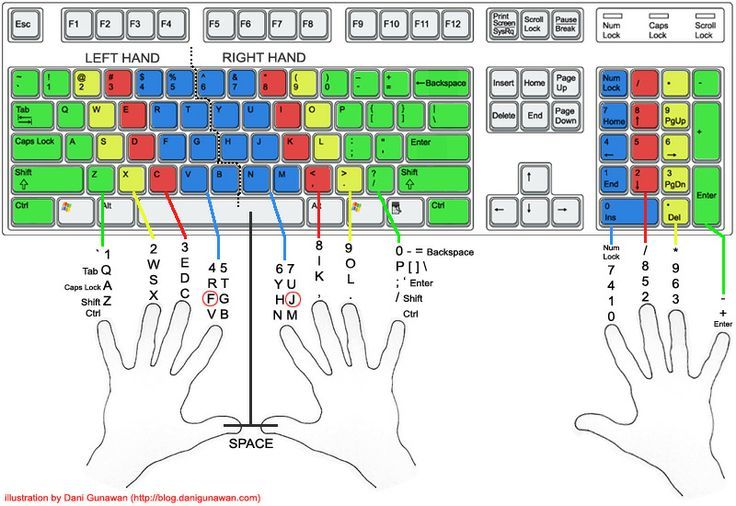 Hands typing keyboard shortcuts - Proper Typing Posture | Position of the hands on the ...