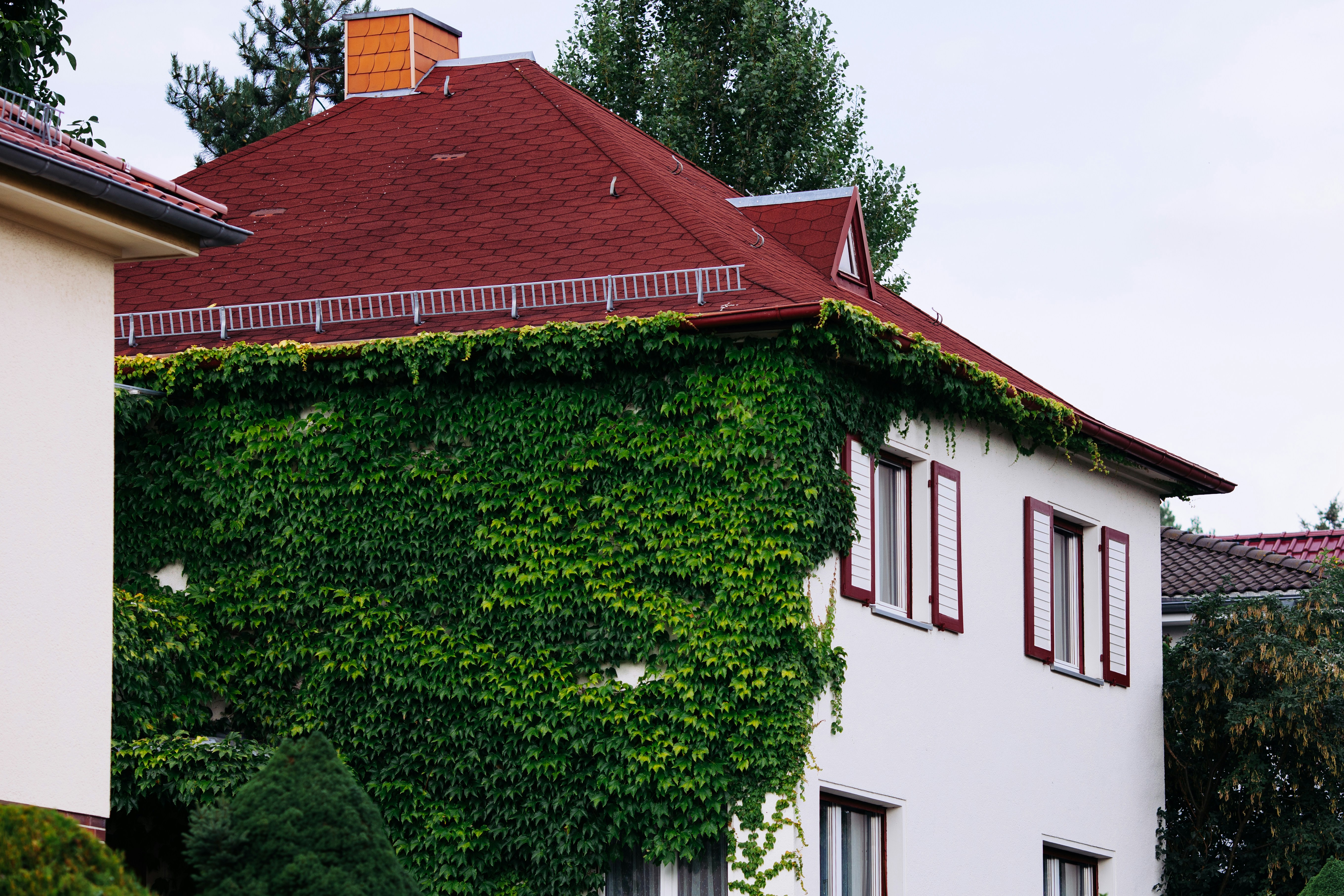 Keywords:
Green roof on modern building - a house covered in vines with a red roof