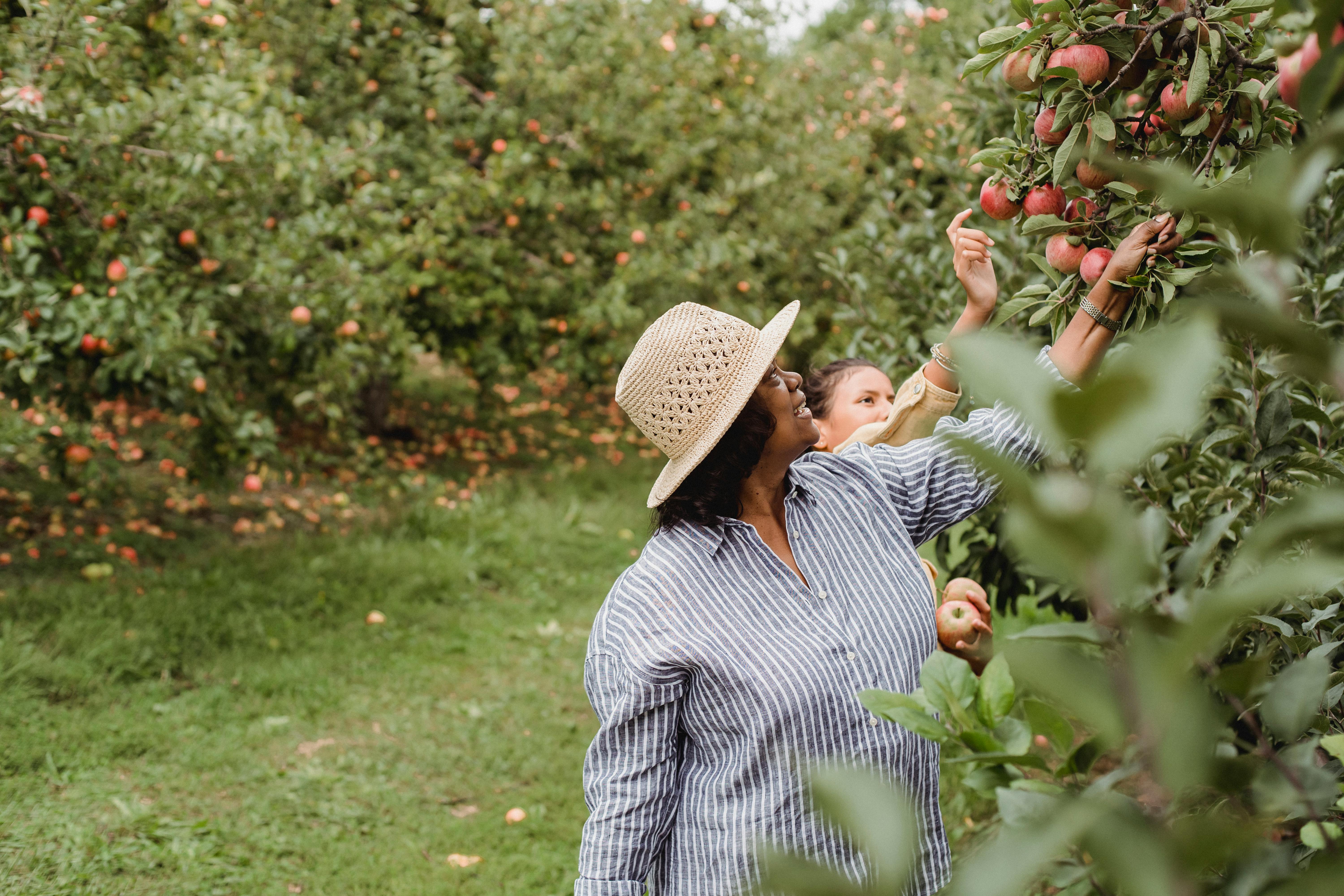 Keywords:
TypeScript and Webpack logos - How to use p5.js with TypeScript and webpack - DEV Community