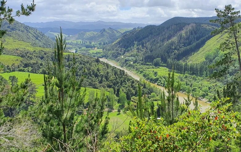 Whanganui River New Zealand - Beyond legal personhood for the Whanganui River: Collaboration and ...