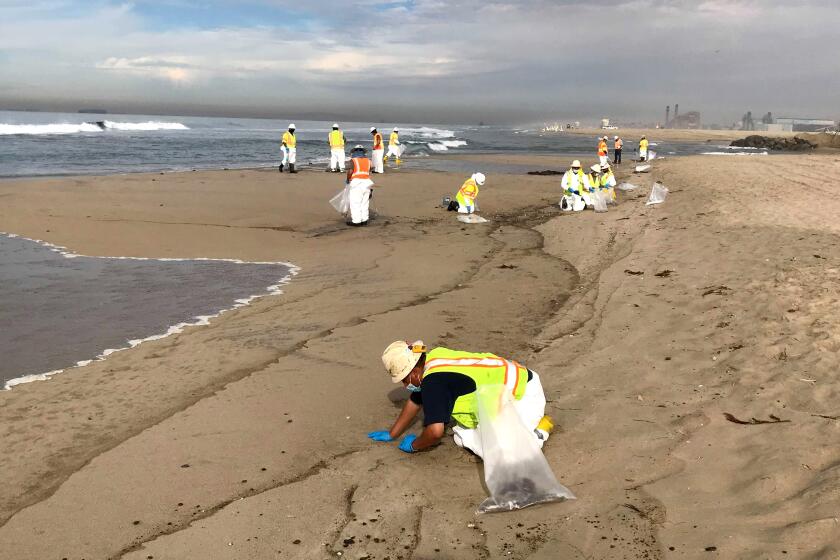 oil spill beach cleanup - What to know about the Huntington Beach oil spill - Los Angeles Times