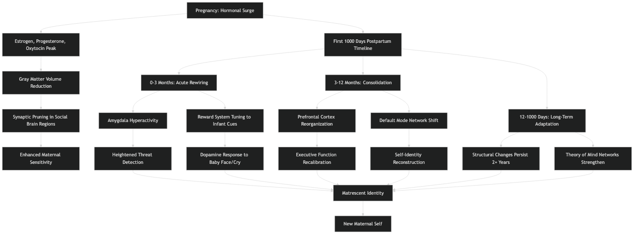 Architecture diagram for Inside Matrescence: How the Maternal Brain Rewires in the First 1000 Days Postpartum